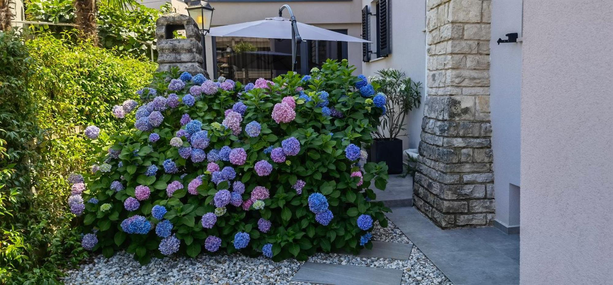 Stay In The Very Heart Of Porec - 50M To The Beach מראה חיצוני תמונה